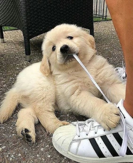 []