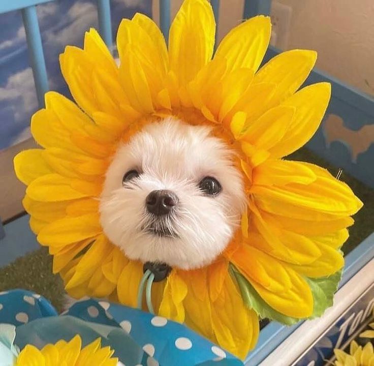[]