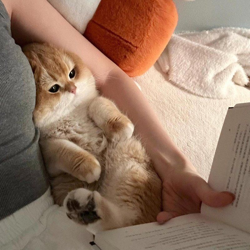 []