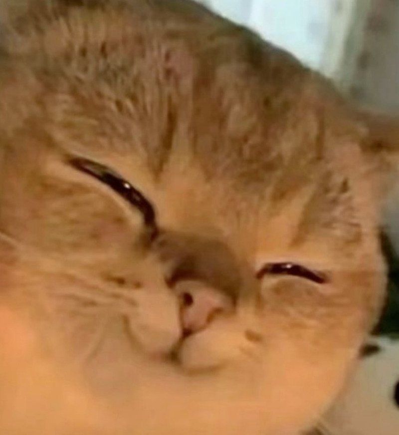 []