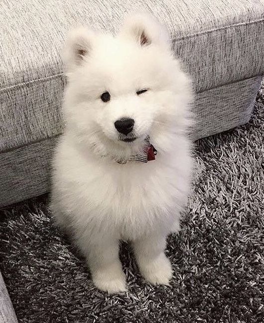 []