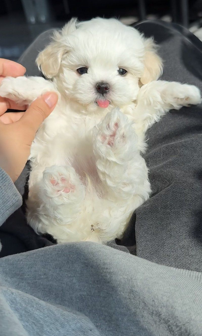 []