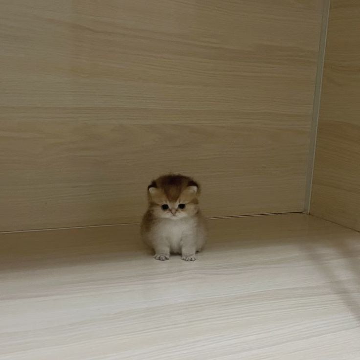 []