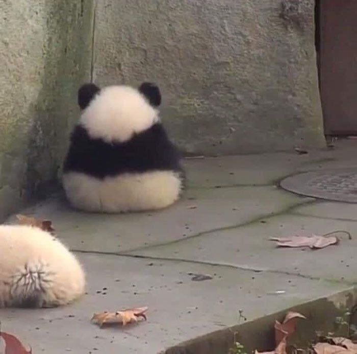 []