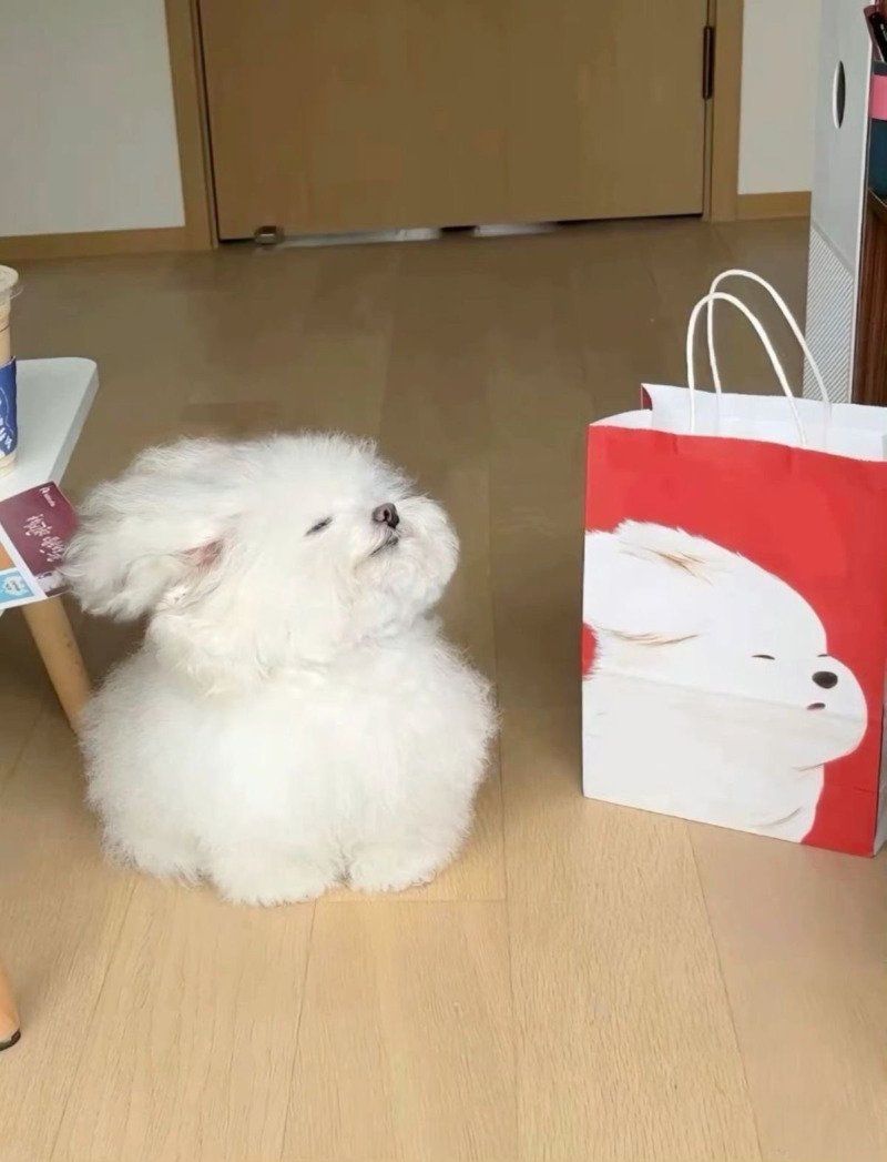 []