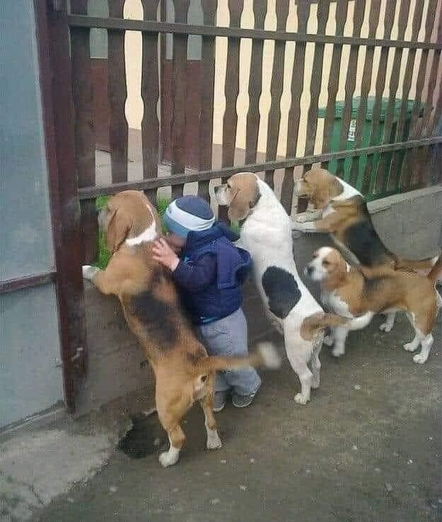 []
