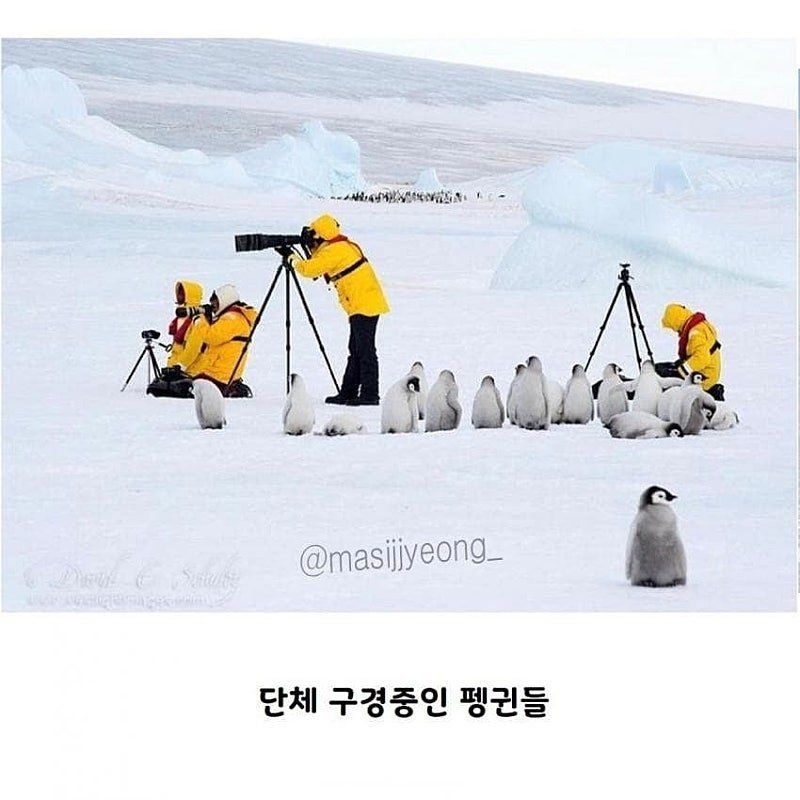 []