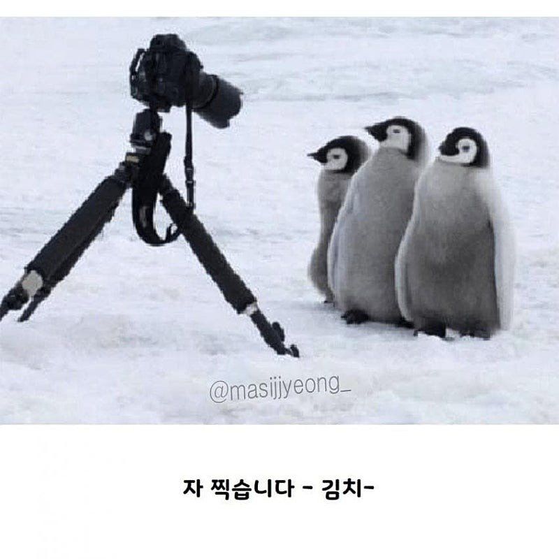 []