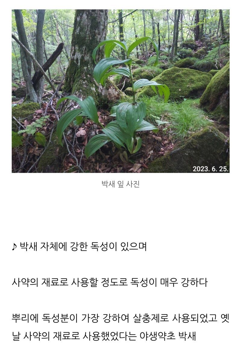 []