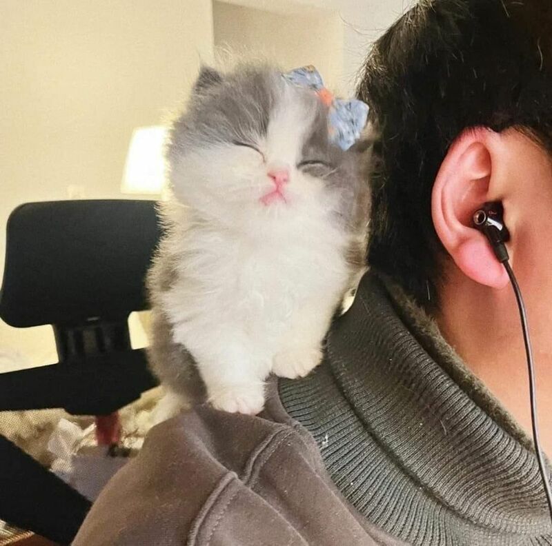 []