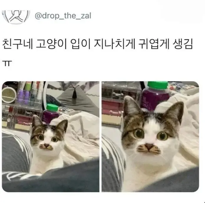 []