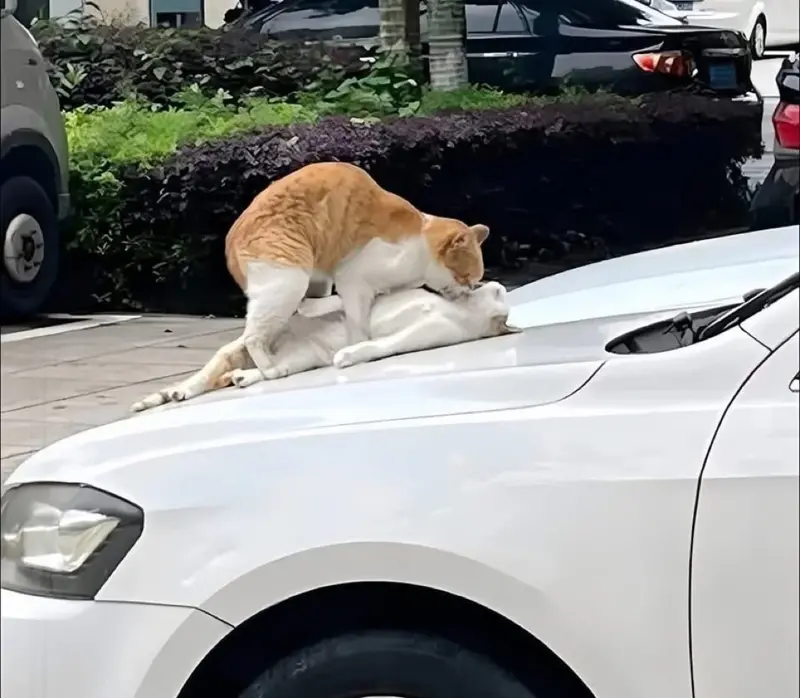 []