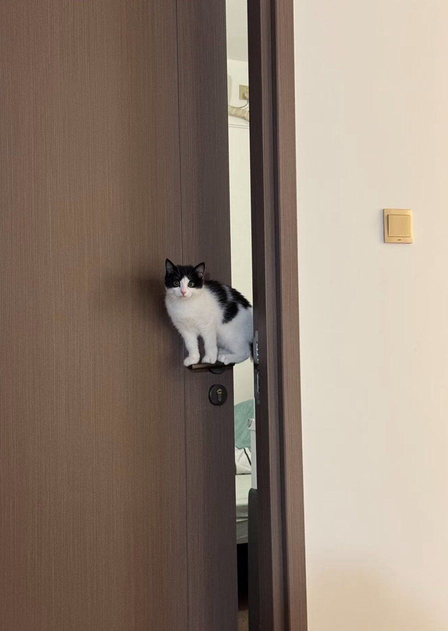 []