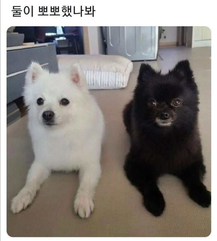 []