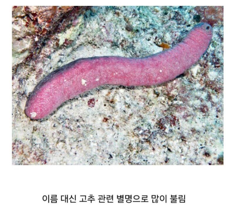 []