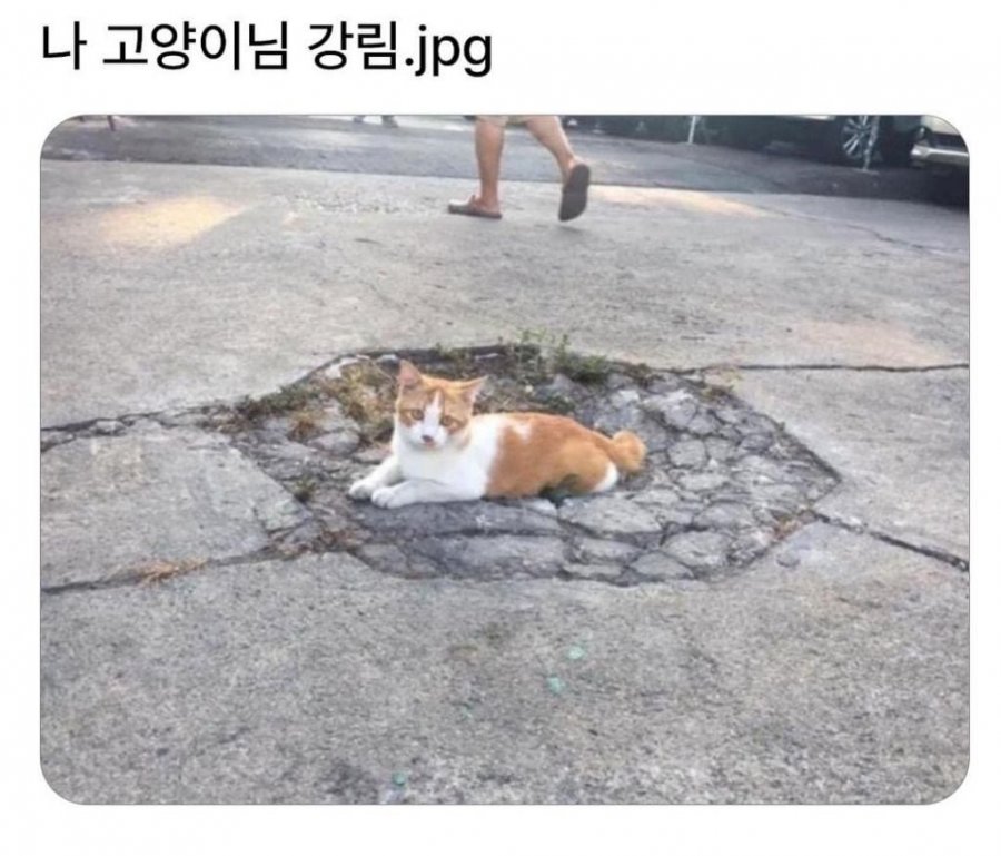 900w_20250714203915_4tETiJmmgG.jpeg