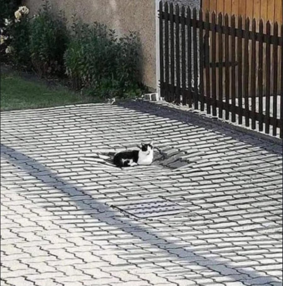 900w_20250714203917_ouHkUsVrL3.jpeg
