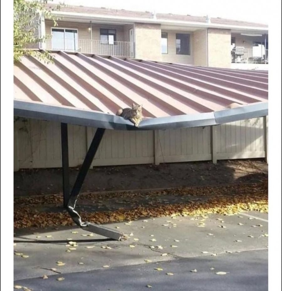 900w_20250714203918_iGxgGEX4VS.jpeg