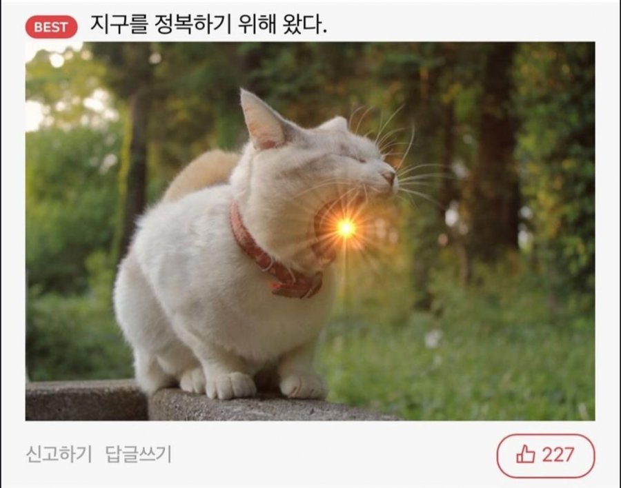 900w_20250714203919_DmBUSTB12i.jpeg