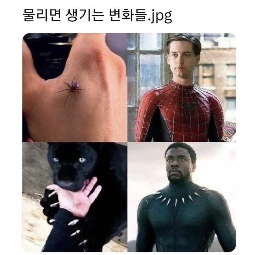 20250719150246_UlRNDBPCve.jpg