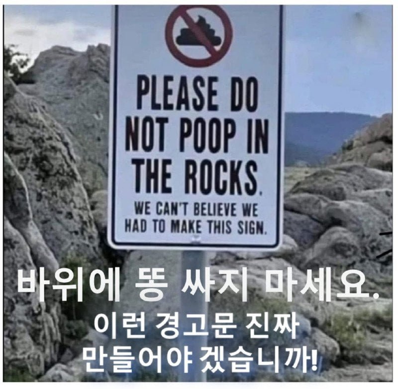 20250725130554_YhN4rHEF4z.jpg