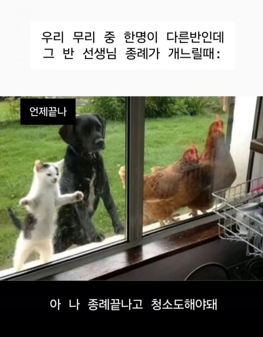 900w_20250725140744_aRhWNXKuJT.jpeg