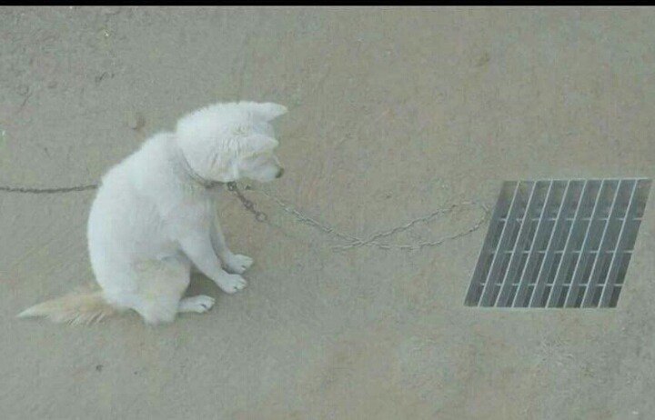 20250727121029_ivwO9AqfpM.jpeg