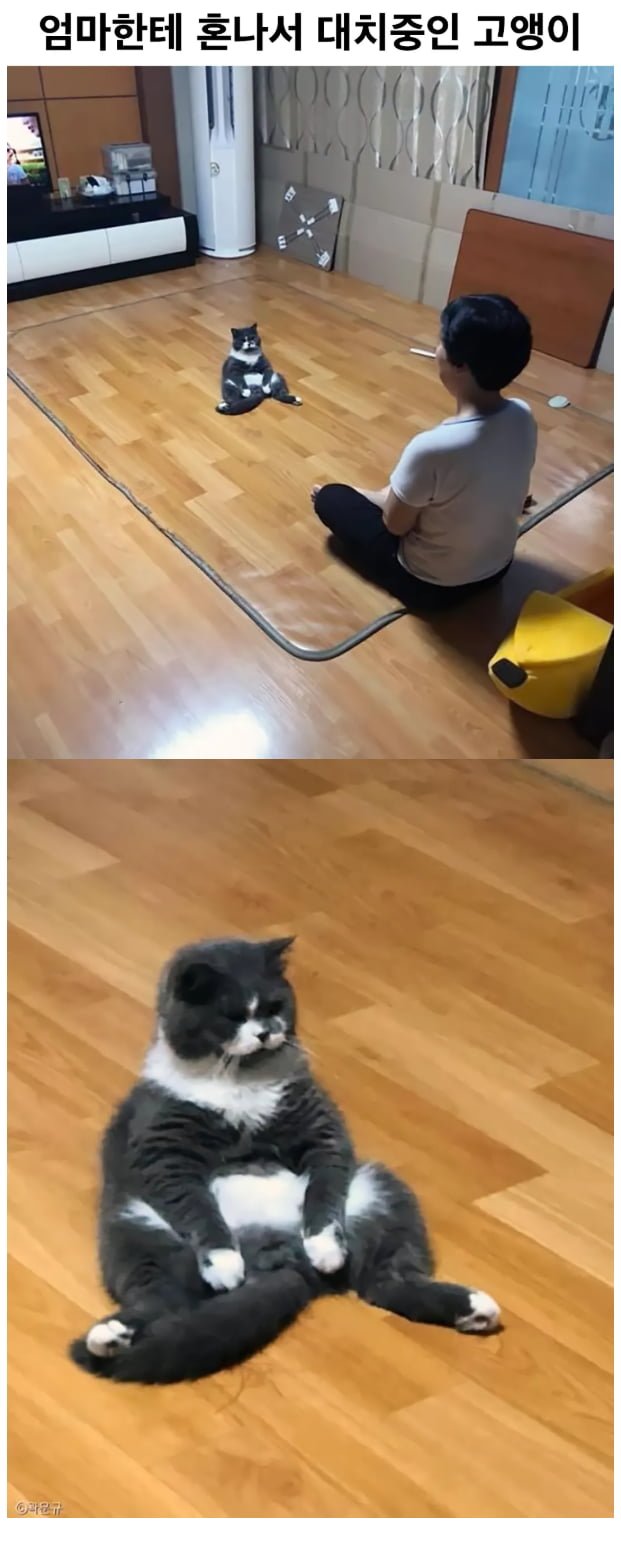 20250801165508_5W94B0e6y2.png