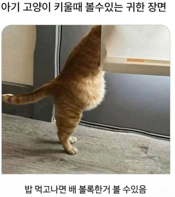 20250809072101_rPxJWNBCaS.jpeg