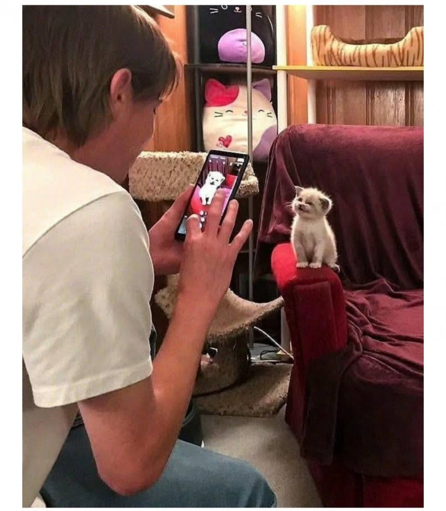 900w_20250815230911_usbJKIejDa.jpeg