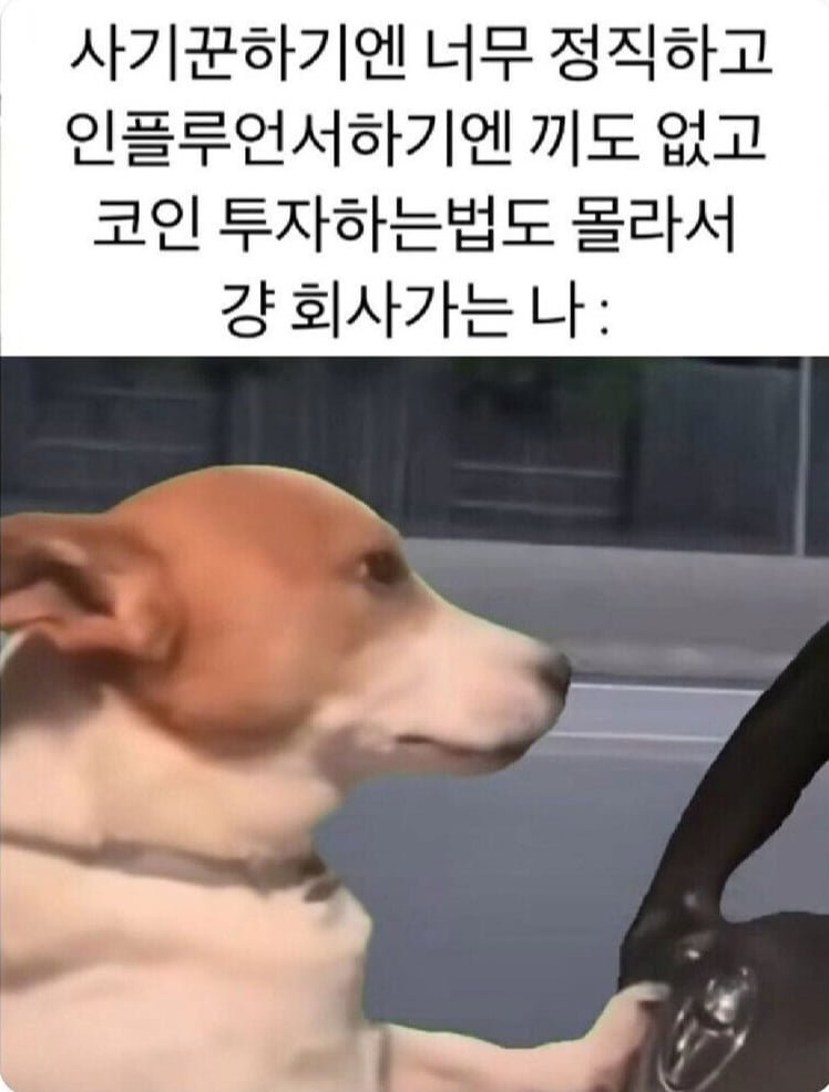 20250819130611_ZwSblhW3FX.png