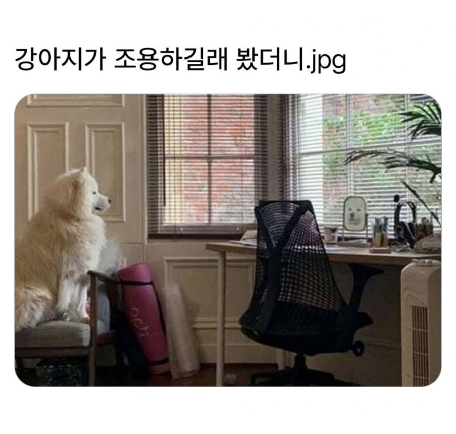 900w_20250820125531_qTLkysgKES.jpeg