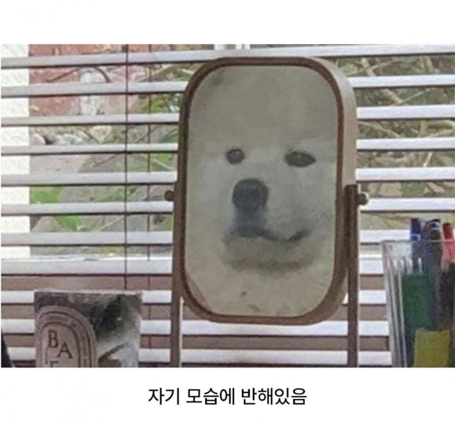 900w_20250820125531_uGaMrE3loK.jpeg