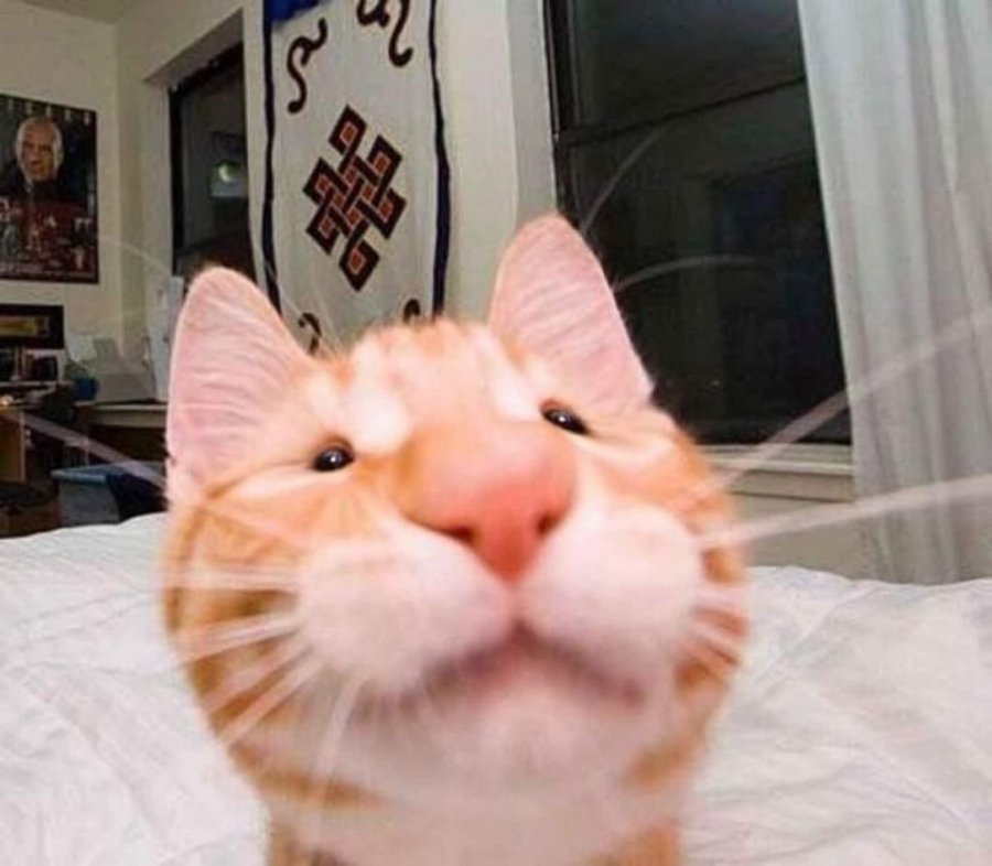 900w_20250825220018_4a3RsNIWt4.jpeg