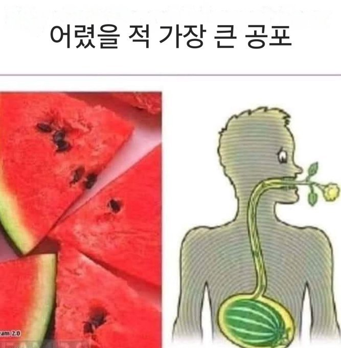 20250904153009_kwMFbhS2IE.jpg