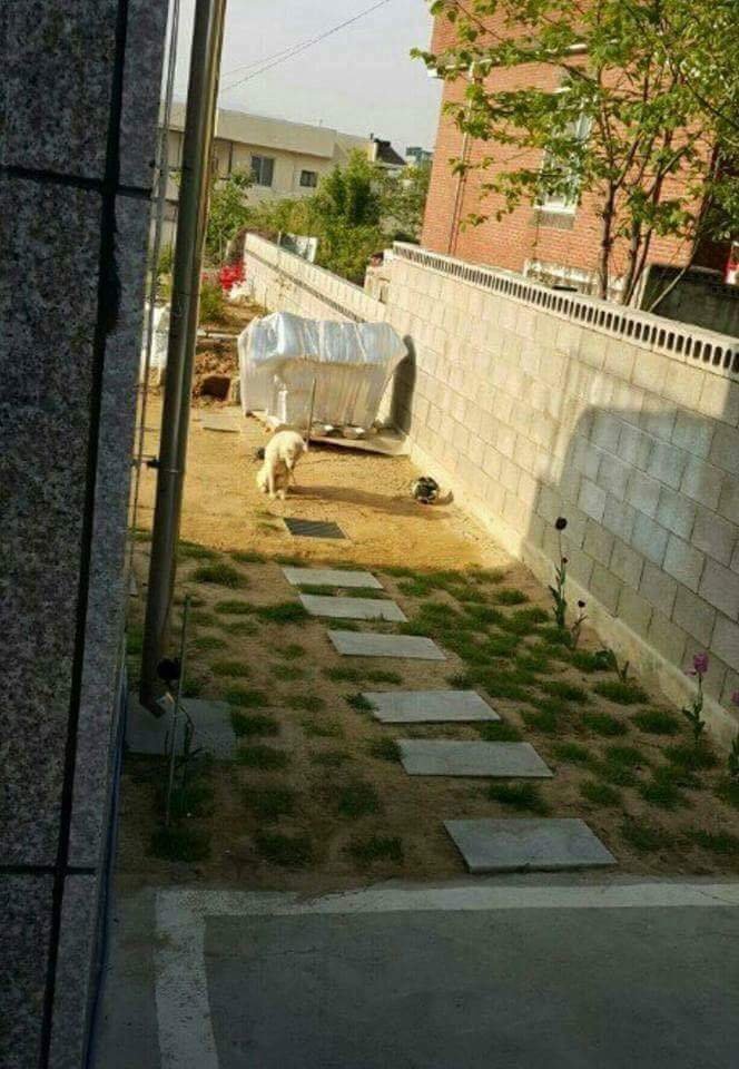 20250727121030_AtBQpajtJO.jpeg
