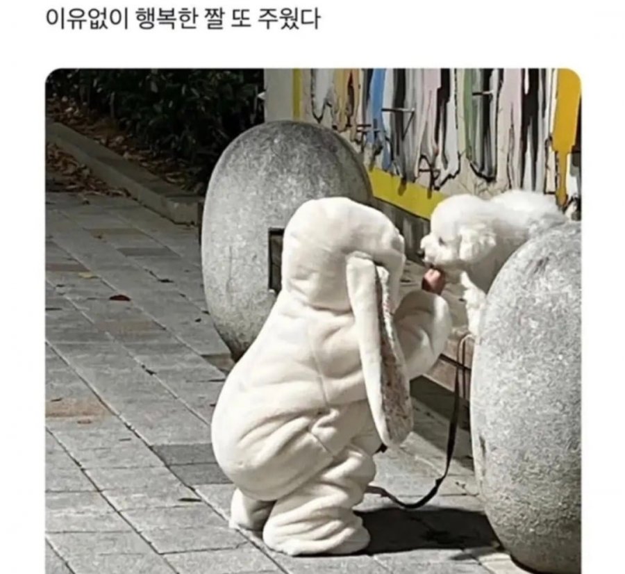 900w_20250928121606_ooZHrawJnG.jpg