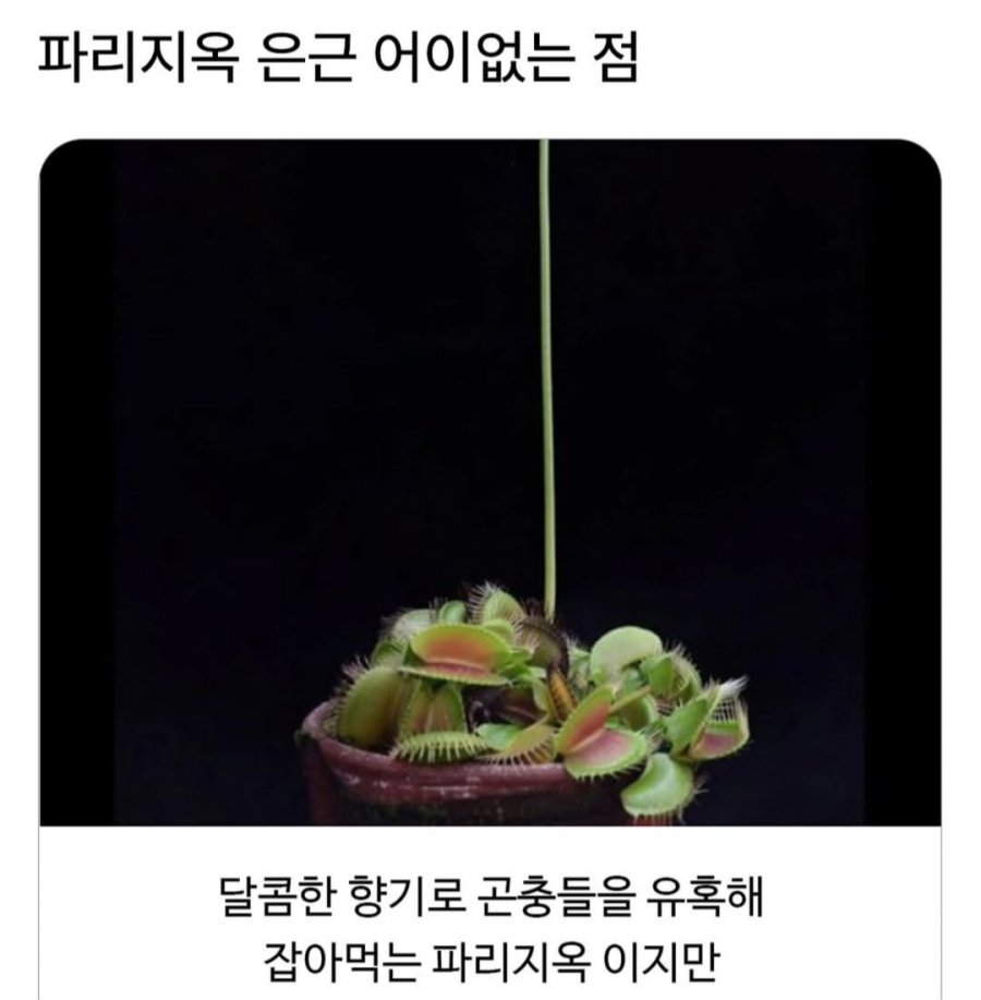 900w_20250929215648_5MyGSWuvph.png