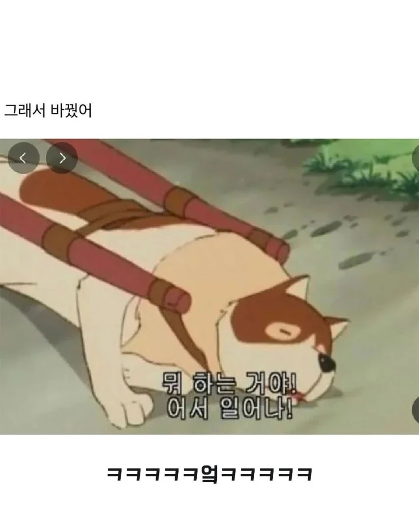 20260516083656_VVyBMsNheZ.webp