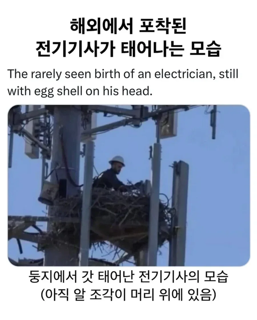 20260524093727_ZacQLyavBj.webp