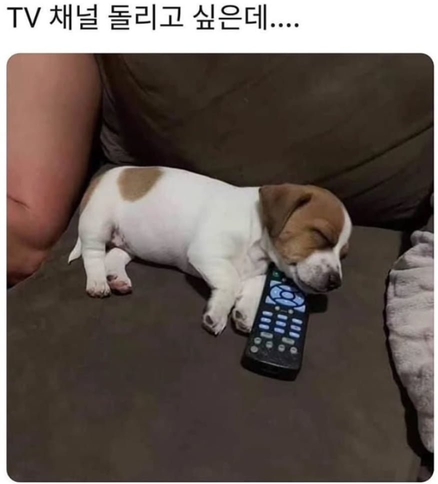 20260626090029_Xeck5ahtId.png