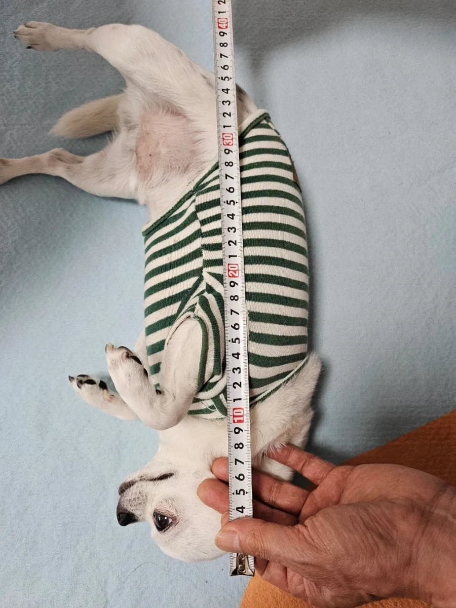 20260727182349_DGBWEUcxRt.png