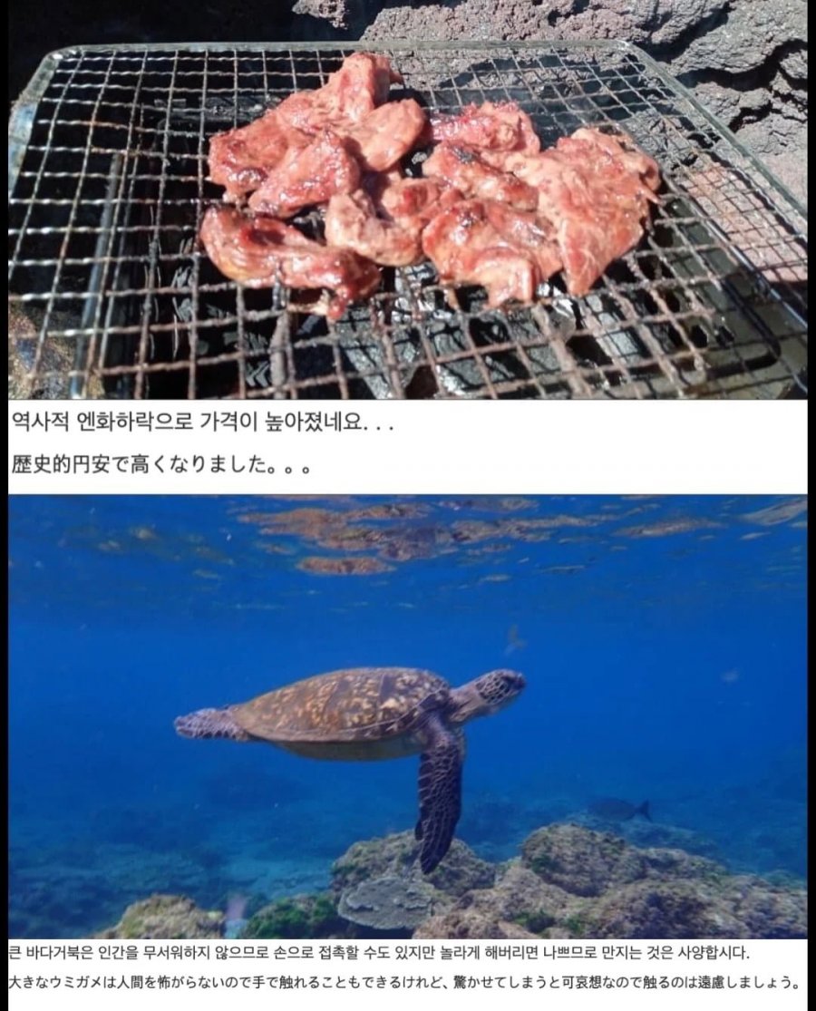 900w_20260728182538_04gJXgUf2j.jpeg