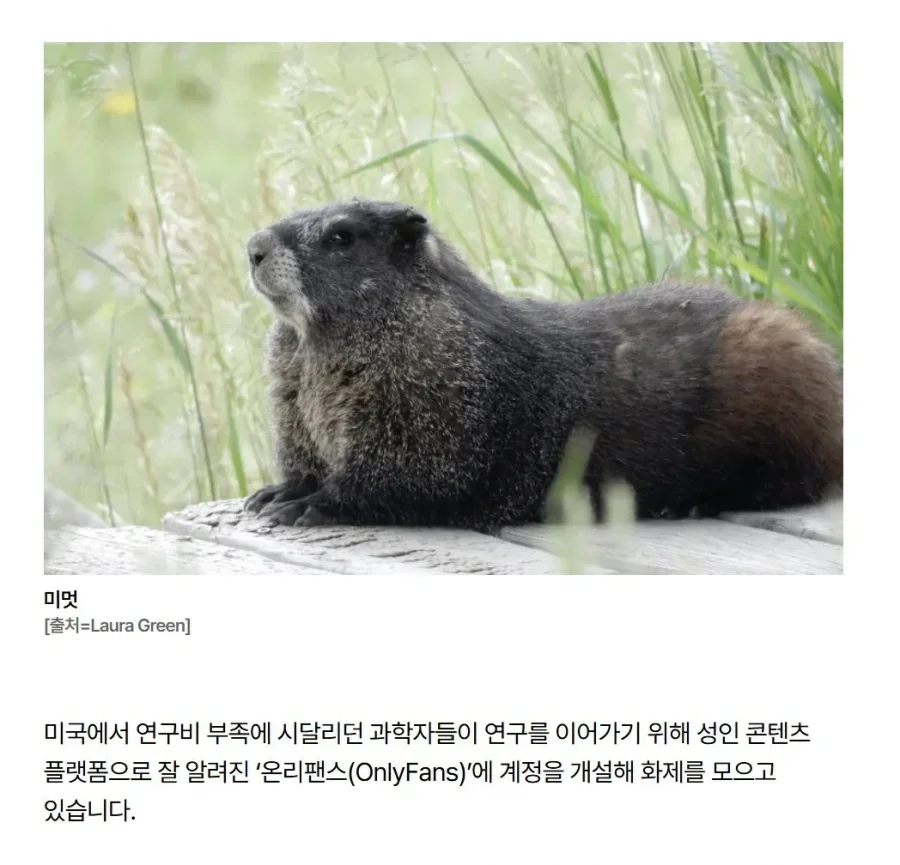 900w_20260729173914_gLQXRXjwa9.webp