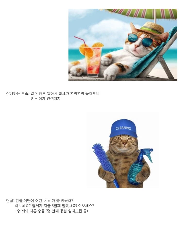 20260802193520_SAU4X0rJ2i.png
