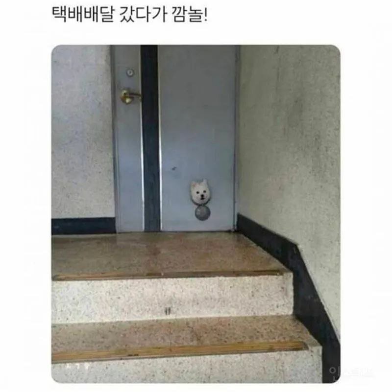 20260802233550_mN1lFNWiRG.jpg