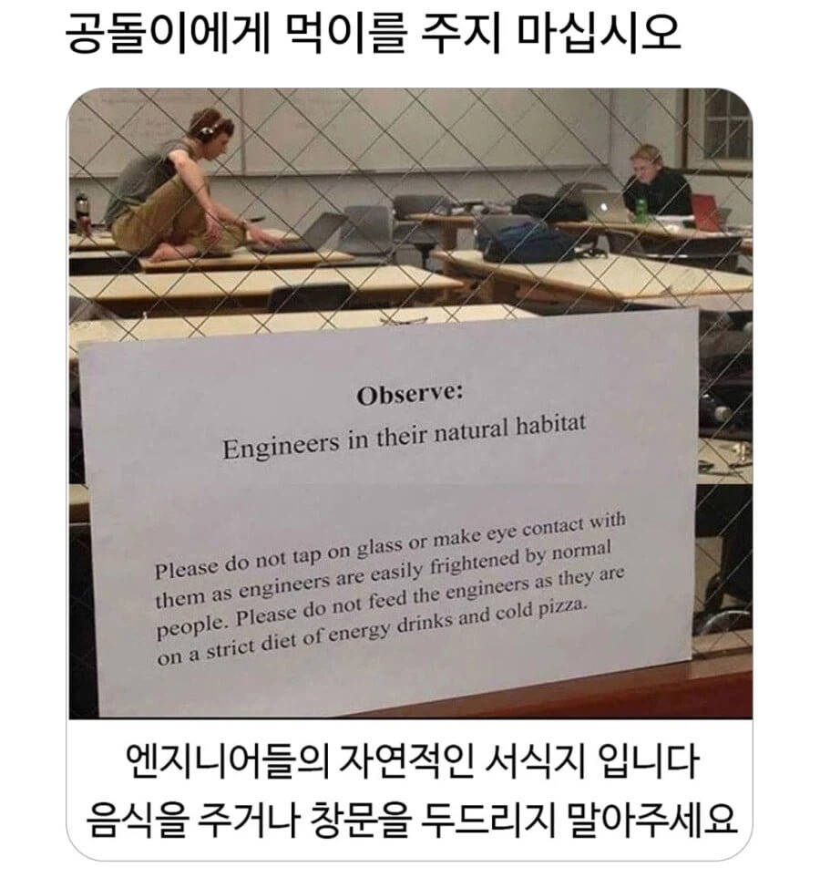 20260805143043_dXUVaovmos.jpg