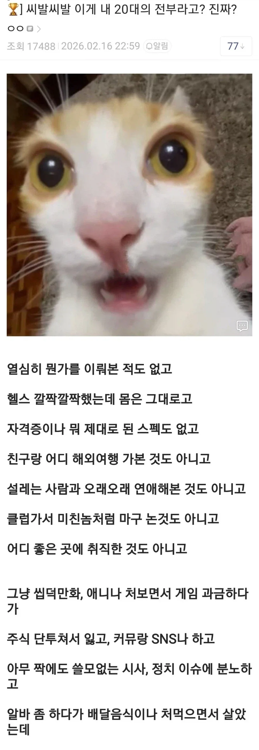 20260806235204_W6tLWzYmyu.webp