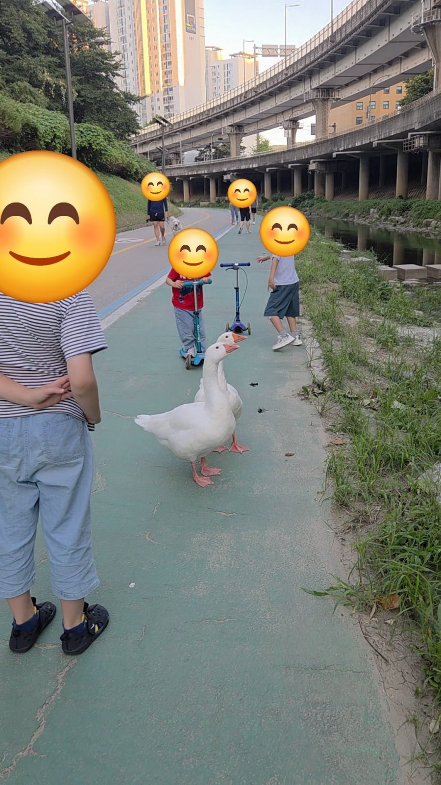 900w_20260906223302_C22PRRkhpd.jpg