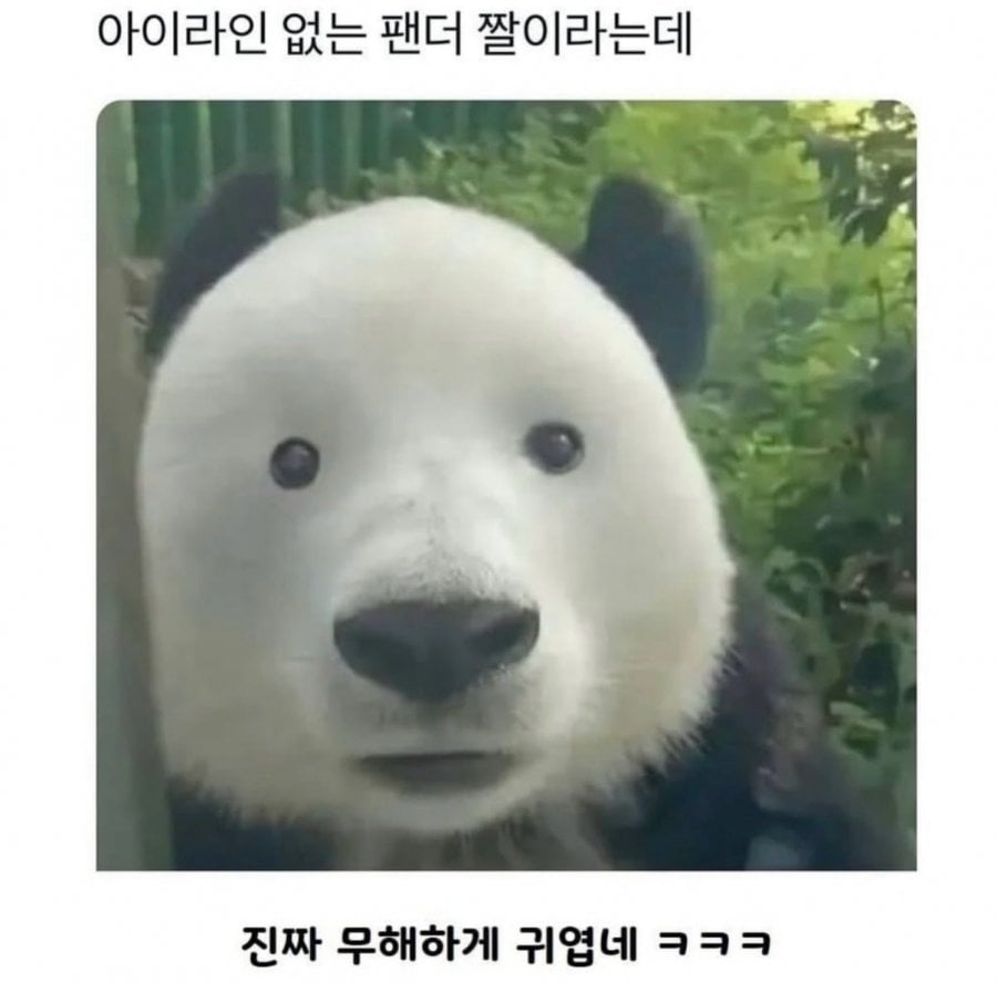 900w_20261008095557_hGYUapm4d9.jpg